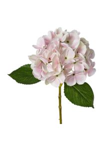 Gasper Fleur d&eacute;corative HORTENSIE