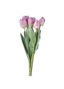 Gasper Bouquet de 5 tulipes TULPE