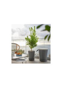 Jelmoli Bew&auml;sserungssystem &raquo;Boum 3 Starter Set&laquo; (), grau, Kunststoff