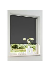 my home, my home Seitenzugrollo &raquo;Themse-Uni&laquo; Lichtschutz Sichtschutz ohne Bohren freih&auml;ngend Bestseller mit 1500 4,5-Sterne-Bewertungen, Klemmtr&auml;ger 