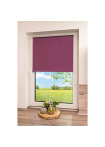 K-home, K-home Seitenzugrollo &raquo;Thermo Klemmfix-Rollo&laquo; verdunkelnd energiesparend ohne Bohren 1 St&uuml;ck, beere, Polyester
