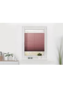 LICHTBLICK Original, LICHTBLICK ORIGINAL Plissee &raquo;Klemmfix&laquo; Lichtschutz ohne Bohren verspannt Faltenstore, altrosa, wei&szlig;, wei&szlig;