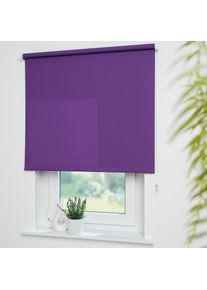 Liedeco, Seitenzugrollo &raquo;Uni&laquo; Lichtschutz mit Bohren freih&auml;ngend Montage ohne Bohren zum Klemmen mit separatem Klemmtr&auml;ger m&ouml;glich, brombeere, 