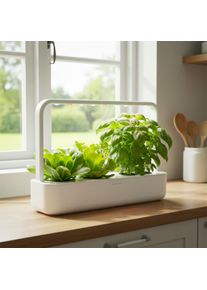 Click & Grow Smart Garden 9 - Indoor Kr&auml;utergarten (Farbe: weiss oder grau)