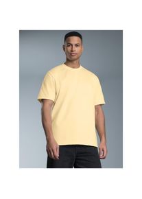 TRIGEMA, Herren, T-Shirt &raquo;TRIGEMA T-Shirt aus 100% Baumwolle&laquo; 1 Stk., vanille, M, &Auml;rmel mit B&uuml;ndchen