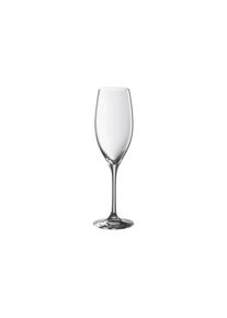 WMF, WMF Champagnerglas &raquo;EasyPlus 250 ml 6 St&uuml;ck&laquo;, transparent, Glas, 22 cm