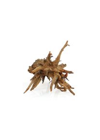 Amazonas, Aquariendeko &raquo;Corbo-Wurzel M&laquo;, braun