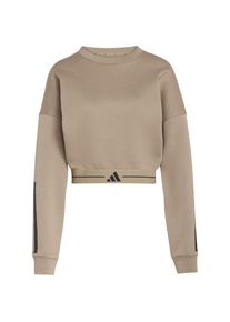 Adidas HYG Sweatshirt Damen - Gr&ouml;&szlig;e L - braun