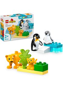 Lego, Lego Konstruktionsspielsteine &raquo;Wildtier-Familien: Pinguine und L&ouml;wen (10442), Lego DUPLO Town&laquo; Made in Europe, bunt, Einheitsgr&ouml;&szlig;e, 