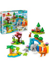 Lego, Lego Konstruktionsspielsteine &raquo;Wildtier-Familien 3-in-1-Set (10446), Lego DUPLO Town&laquo; Made in Europe, bunt, Einheitsgr&ouml;&szlig;e, 