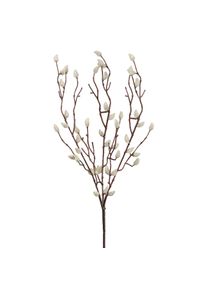 Gasper Chaton de saule FLOWERS