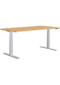 Sch&auml;fer Shop Sch&auml;fer Shop Genius Schreibtisch MODENA FLEX, elektrisch h&ouml;henverstellbar, Rechteck, T-Fuss, B 1600 x T 800 mm, Ahorn/weissalu