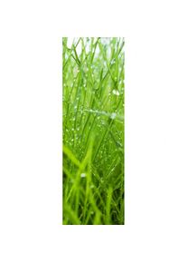 XIMAX Raumheizk&ouml;rper Design Heizk&ouml;rper P1 Plan Print Gras vertikal, 180x59,5 cm (1088 W)