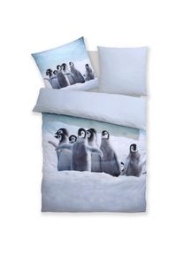 Goodproduct, GOODproduct Bettw&auml;sche &raquo;Lyki&laquo; 2 ab Gr&ouml;sse 135x200 cm, 100% Polyester, Katze, Pferd, L&ouml;we, Pinguin, pinguin, Microfaser, Obermaterial: 100
