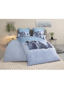 Goodproduct, GOODproduct Bettw&auml;sche &raquo;Lyki&laquo; 2 ab Gr&ouml;sse 135x200 cm, 100% Polyester, Katze, Pferd, L&ouml;we, Pinguin, pinguin, Microfaser, Obermaterial: 100