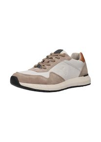 Salamander, Hommes Baskets basses, chamois / marron / blanc