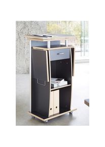 Germania Sekret&auml;r &raquo;0469&laquo;, Stehpult mit Rollen, Home office Schreibtisch grau made_in_germany anthrazit