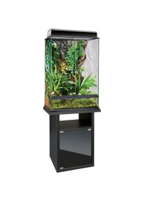 EXO TERRA Terrarium, (Set), Gesamtma&szlig; BxTxH: 60x45x160 cm, inkl. Steinmotivr&uuml;ckwand schwarz