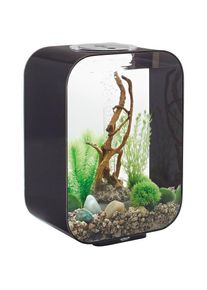 BIORB BY OASE Aquarium &raquo;LIFE 15 MCR; 72050/1/2&laquo;, 15 Liter, BxTxH: 19, 3x29x40, 7 cm, verschiedene Farben schwarz