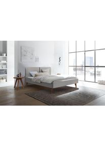 Hasena Polsterbett &raquo;Tamara&laquo;, Fu&szlig;farbe Nussbaum, Komforth&ouml;he, Fu&szlig;h&ouml;he 20 cm grau 335 Pepe grey