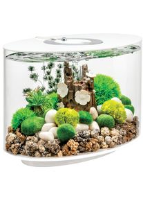 BIORB BY OASE Aquarium &raquo;LOOP 15 MCR; 86469/73&laquo;, 15 Liter, BxTxH: 29, 8x47x41 cm, verschiedene Farben wei&szlig;