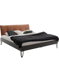 Meise M&ouml;bel MEISE.M&Ouml;BEL Metallbett &raquo;Boston&laquo;, Polsterkopfteil mit 4-Punkt-Steppung und umlaufender Biese grau Graphit/Cognac