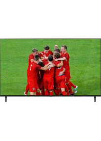 Panasonic LED-Fernseher &raquo;TX-65LXW834&laquo;, 164 cm/65 Zoll, 4K Ultra HD, Smart-TV-Android TV schwarz WLAN, Bluetooth, 3x HDMI, 2x USB, CI+ Modul-Schacht