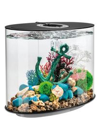 BIORB BY OASE Aquarium &raquo;LOOP 30 MCR; 86470/77&laquo;, 30 Liter, BxTxH: 31x51x53 cm, verschiedene Farben schwarz