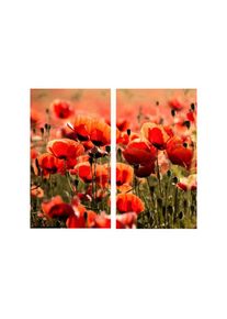 Wall-Art Herd-Abdeckplatte &raquo;Herdabdeckplatte Mohnblumen&laquo;, (Set, 2 tlg.) bunt