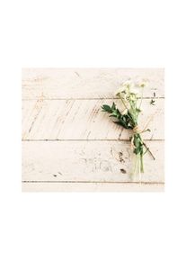 Wall-Art Herd-Abdeckplatte, (2 tlg.) bunt