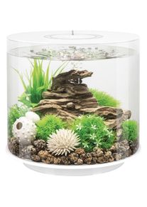 BIORB BY OASE Aquarium &raquo;TUBE 15 MCR; 72064/65&laquo;, 15 Liter, &Oslash;xH: 32, 8x31, 5 cm, verschiedene Farben wei&szlig;