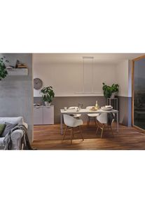 Paulmann Pendelleuchte &raquo;Lento Smart Home Bluetooth Tunable White 3570lm 43W Chrom matt&laquo;, 1 flammig-flammig grau chromfarben