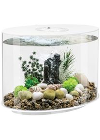 BIORB BY OASE Aquarium &raquo;LOOP 30 LED; 86415/46&laquo;, 30 Liter, BxTxH: 31x51x53 cm, verschiedene Farben wei&szlig;
