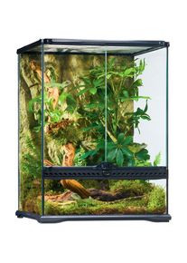 EXO TERRA Terrarium, BxTxH: 45x45x60 cm, inkl. R&uuml;ckwand schwarz