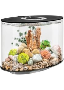 BIORB BY OASE Aquarium &raquo;LOOP 15 MCR; 86469/73&laquo;, 15 Liter, BxTxH: 29, 8x47x41 cm, verschiedene Farben schwarz