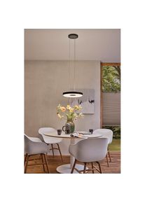 Paulmann Pendelleuchte &raquo;Puric Pane Smart Home Zigbee 400mm 230V&laquo;, 1 flammig-flammig, LED, dimmbar, Schwarz, Grau, Metall schwarz schwarz/grau