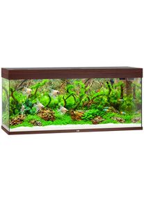 Juwel Aquarium JUWEL AQUARIEN Aquarium &raquo;Rio 240 LED&laquo;, BxTxH: 121x41x55 cm, 240 l braun dunkelbraun