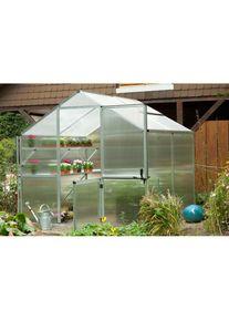 KGT Gew&auml;chshaus &raquo;Rose II&laquo; silberfarben Gew&auml;chsh&auml;user