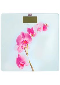 MSV Personenwaage &raquo;LANYU&laquo;, hochwertige Personenwaage aus Hartglas rosa