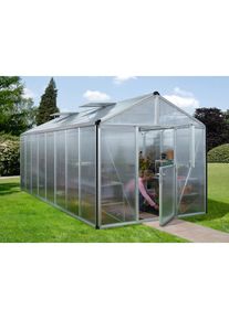 Vitavia Gew&auml;chshaus &raquo;Zeus 15700&laquo; silberfarben Gew&auml;chsh&auml;user