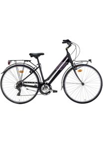 Montana Bike MONTANA FAHRR&Auml;DER Cityrad &raquo;BLUECITY 925&laquo;, 7 Gang, Shimano, TY-300 Schaltwerk, Kettenschaltung schwarz Fahrrad