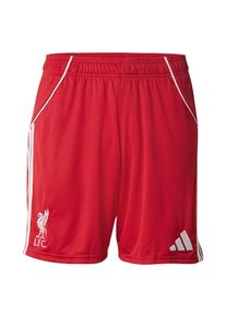 adidas Performance Sportshorts 'FC Liverpool FC 25/26' Herren, rot / wei&szlig;, Gr&ouml;&szlig;e M