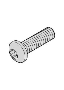 nVent Schroff Torx-Schrauben, M4, 14mm, Verzinkter Stahl, Packung &agrave; 100 St&uuml;ck - 24560-130