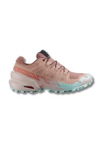 Salomon Damen Speedcross 6 bunt 44.0