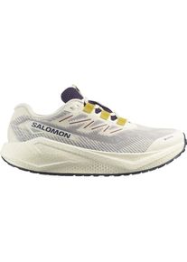 Salomon Herren Aero Blaze 3 Gravel GTX beige 46.0