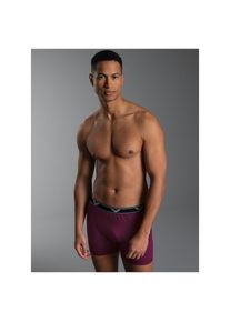 TRIGEMA, Herren, Boxer &raquo;TRIGEMA Bequeme Pants mit Webgummibund&laquo; 1 Stk., sangria, XL, 1 Stk., 95% Baumwolle, 5% Elasthan