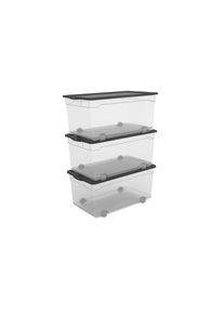 Rotho, Rotho Aufbewahrungsbox &raquo;3 St&uuml;ck,&laquo;, schwarz, transparent, Mit Deckel sicher verschliessbar