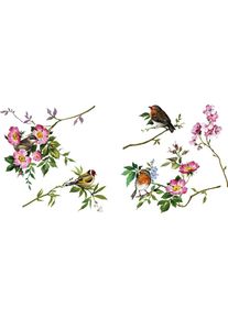 Komar, Fensterbild &raquo;Spring Fever&laquo; 31x31 cm (Breite x H&ouml;he), selbsthaftend, bunt, Kunststoff