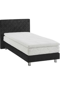 Westfalia Schlafkomfort, Boxbett, anthrazit, Boxbett,90cm,5-Zonentaschenfederkernmatratze H4,mit Topper,in Glanzvelours Anthrazit