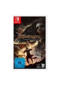 Knights Peak, Spielesoftware &raquo;Mandragora: Whispers of the Witch Tree&laquo; Nintendo Switch, ohne farbbezeichnung